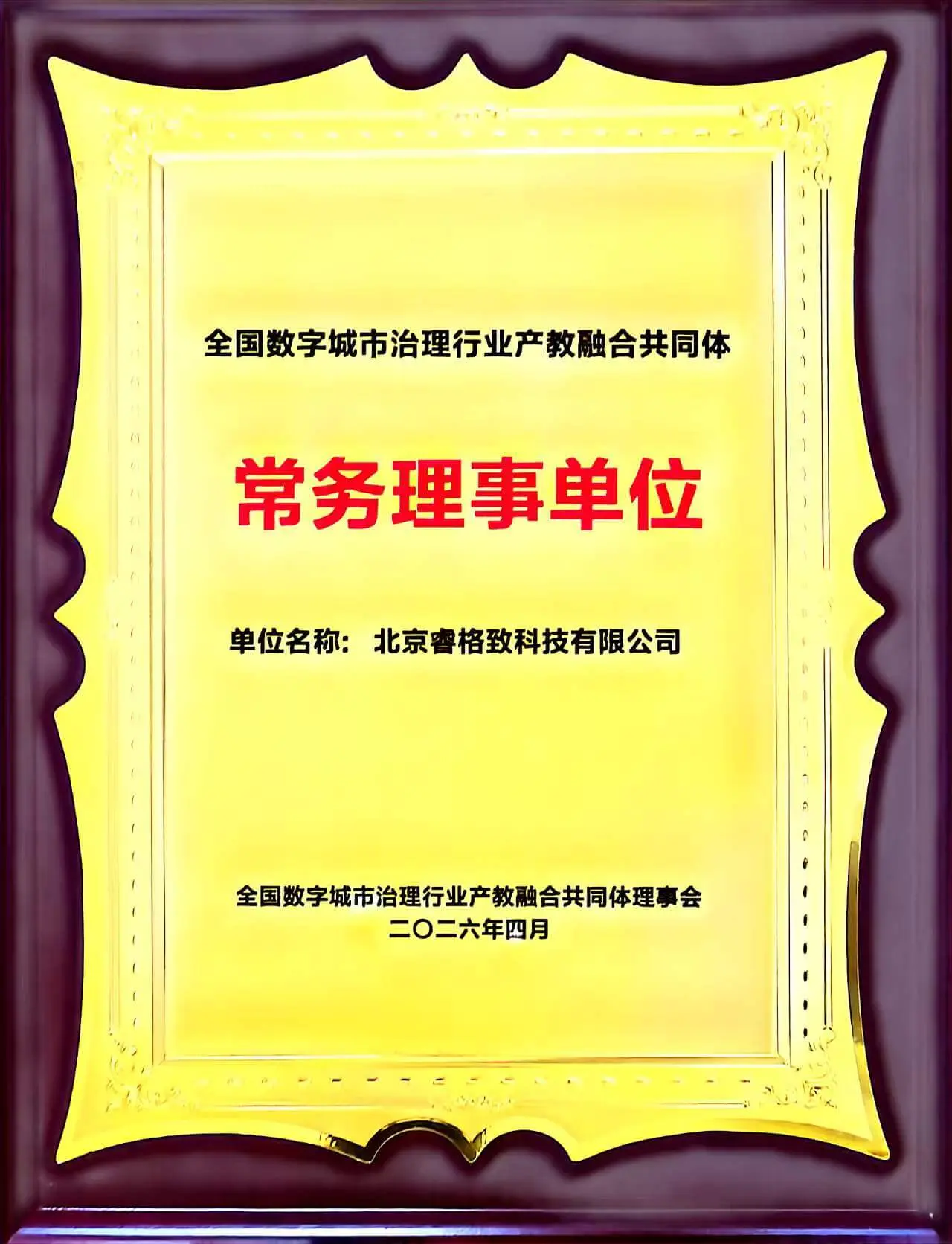 资质荣誉证书26